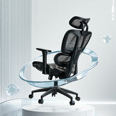 Ergonomic Office Chair Adjustable Lumbar Supported Mesh Office Chair with Headrest and Casters