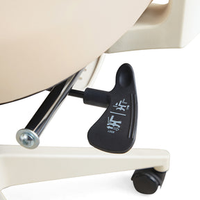 Myrna Adjustable Height Office Chair with Lumbar Support and Headrest/Caster Wheels