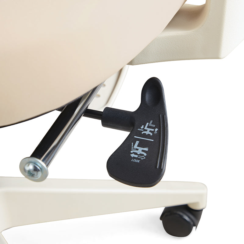 Myrna Adjustable Height Office Chair with Lumbar Support and Headrest/Caster Wheels