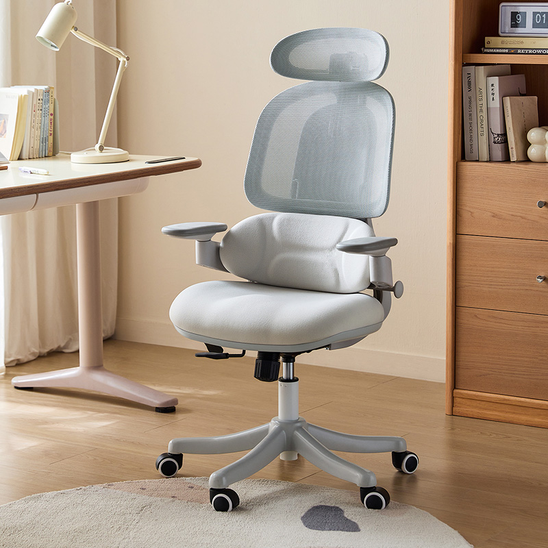 Nadia Adjustable Height Office Chair with Lumbar Support and Headrest