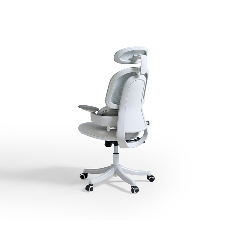 Nadia Adjustable Height Office Chair with Lumbar Support and Headrest/Caster Wheels Multiple Color