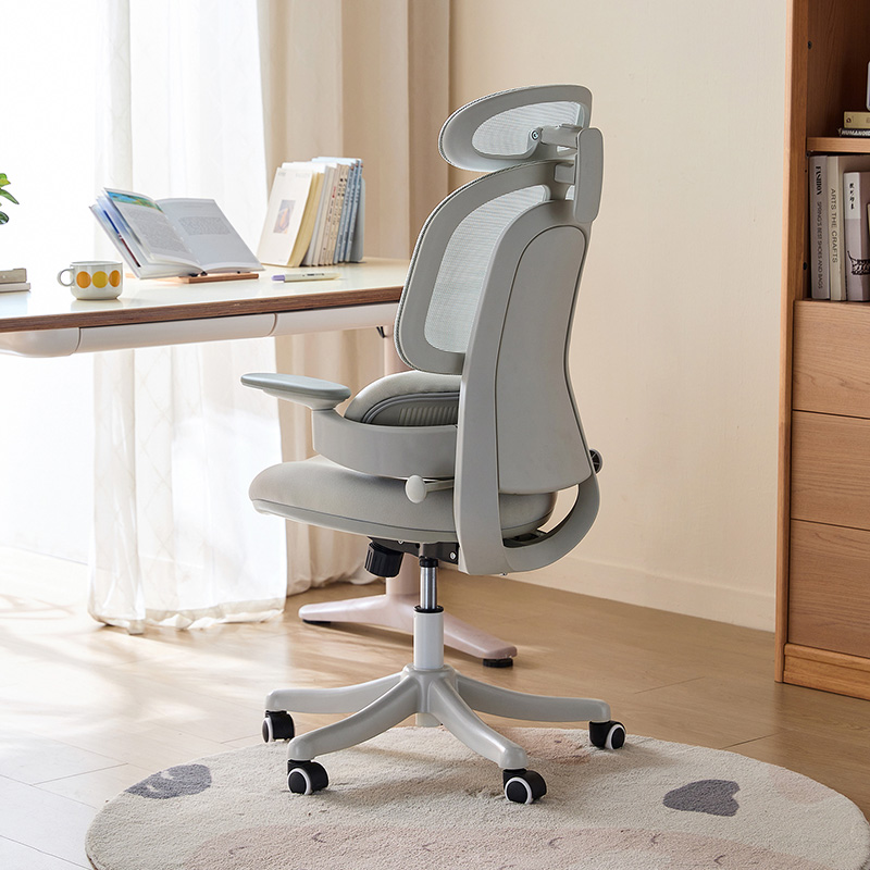 Nadia Adjustable Height Office Chair with Lumbar Support and Headrest/Caster Wheels Multiple Color