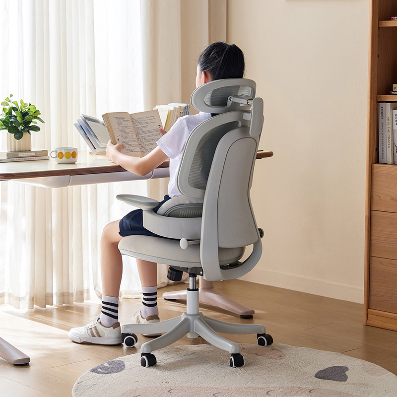 Nadia Adjustable Height Office Chair with Lumbar Support and Headrest/Caster Wheels Multiple Color