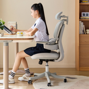 Nadia Adjustable Height Office Chair with Lumbar Support and Headrest/Caster Wheels Multiple Color
