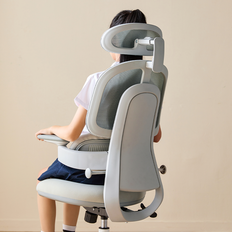 Nadia Adjustable Height Office Chair with Lumbar Support and Headrest/Caster Wheels Multiple Color
