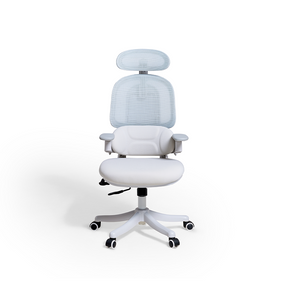 Nadia Adjustable Height Office Chair with Lumbar Support and Headrest/Caster Wheels Multiple Color