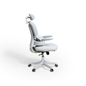 Nadia Adjustable Height Office Chair with Lumbar Support and Headrest/Caster Wheels Multiple Color