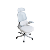 Nadia Adjustable Height Office Chair with Lumbar Support and Headrest/Caster Wheels Multiple Color