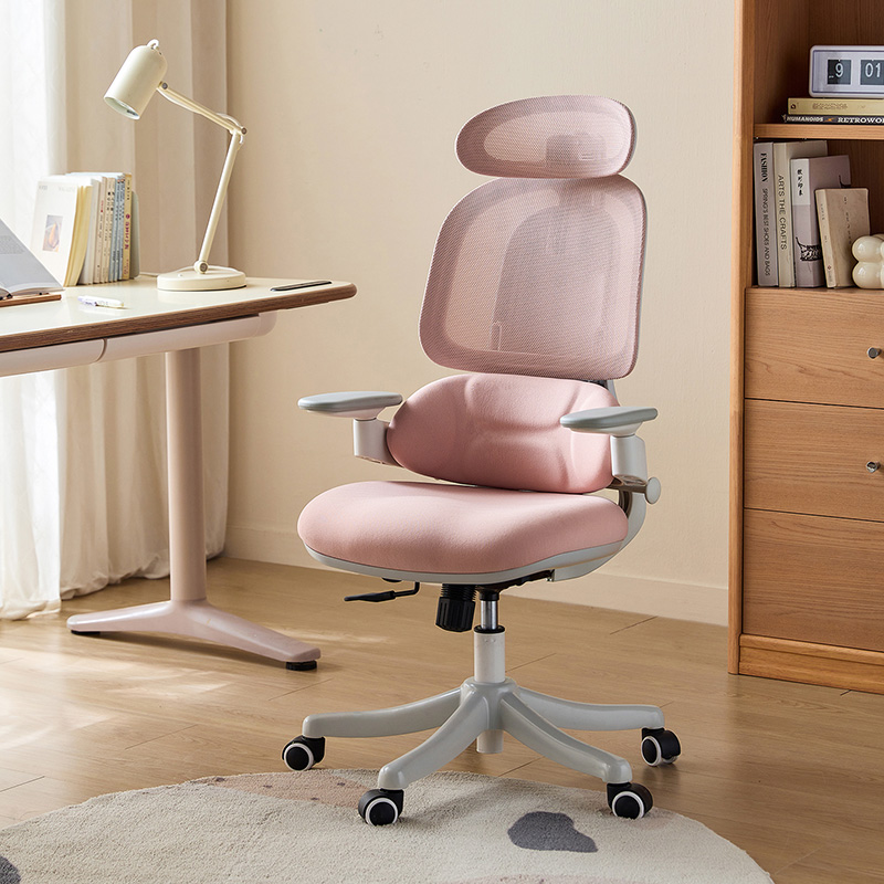 Nadia Adjustable Height Office Chair with Lumbar Support and Headrest/Caster Wheels Multiple Color