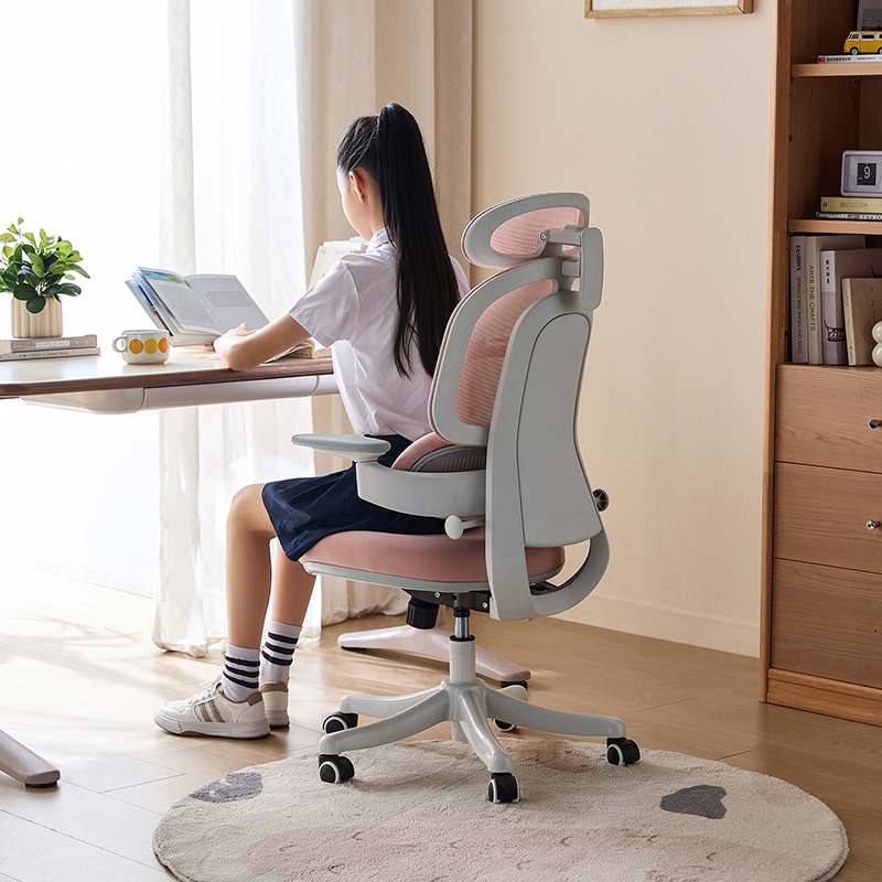 Nadia Adjustable Height Office Chair with Lumbar Support and Headrest/Caster Wheels Multiple Color