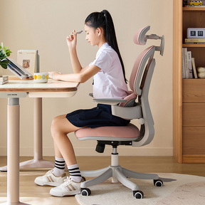 Nadia Adjustable Height Office Chair with Lumbar Support and Headrest/Caster Wheels Multiple Color