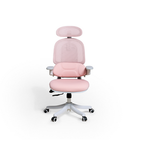 Nadia Adjustable Height Office Chair with Lumbar Support and Headrest/Caster Wheels Multiple Color