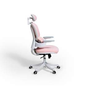 Nadia Adjustable Height Office Chair with Lumbar Support and Headrest/Caster Wheels Multiple Color