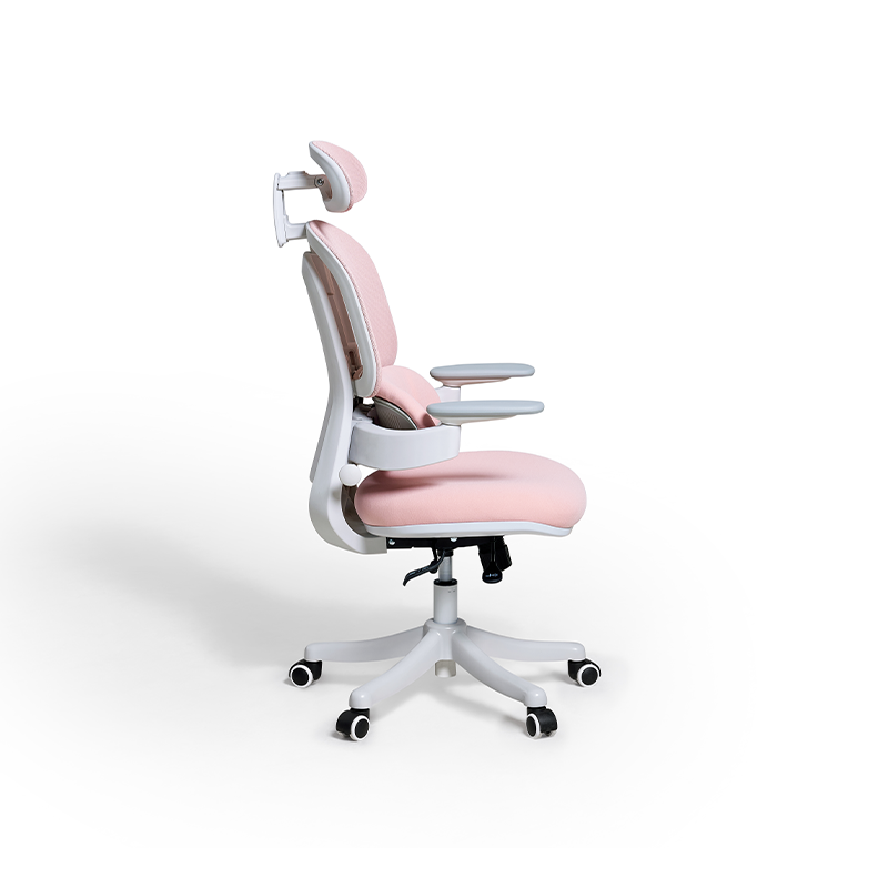 Nadia Adjustable Height Office Chair with Lumbar Support and Headrest/Caster Wheels Multiple Color