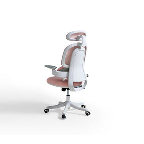 Nadia Adjustable Height Office Chair with Lumbar Support and Headrest/Caster Wheels Multiple Color