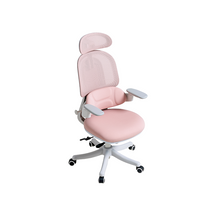 Nadia Adjustable Height Office Chair with Lumbar Support and Headrest/Caster Wheels Multiple Color
