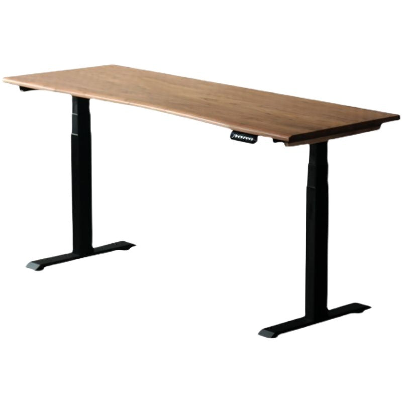 Electric Height-Adjustable Solid Timber Study Desk/Home Office Sit Stand Desk/Walnut Color Top