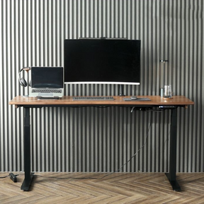 Electric Height-Adjustable Solid Timber Study Desk/Home Office Sit Stand Desk/Walnut Color Top